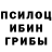 Галлюциногенные грибы Cubensis Ali.Ml. irq
