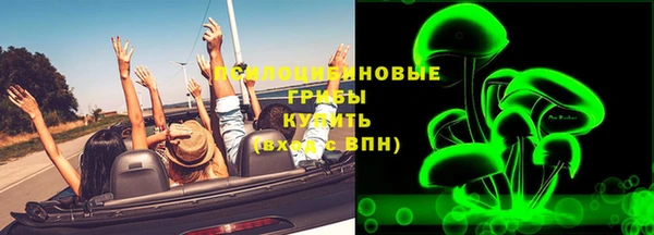 прущие грибы Алзамай