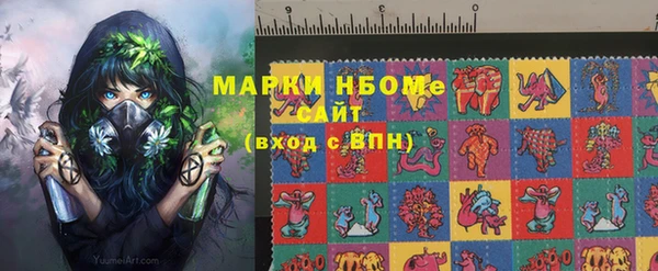 прущие грибы Алзамай