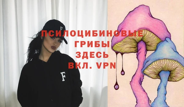 хмурый Алексеевка