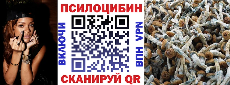 Псилоцибиновые грибы Magic Shrooms  Олонец 